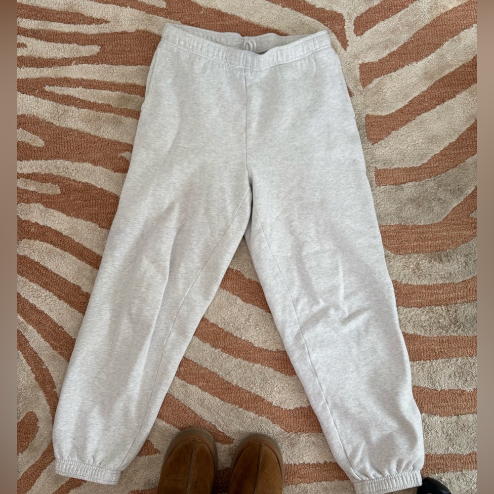 Aritzia cozy fleece sweatpants